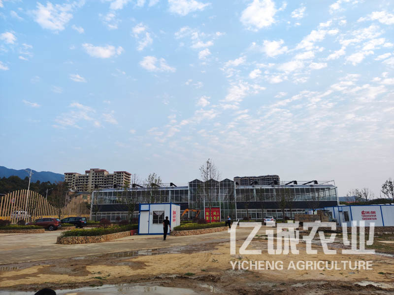 智能溫室大棚建設廠家有自己的網(wǎng)絡銷售團隊，成熟的銷售理念