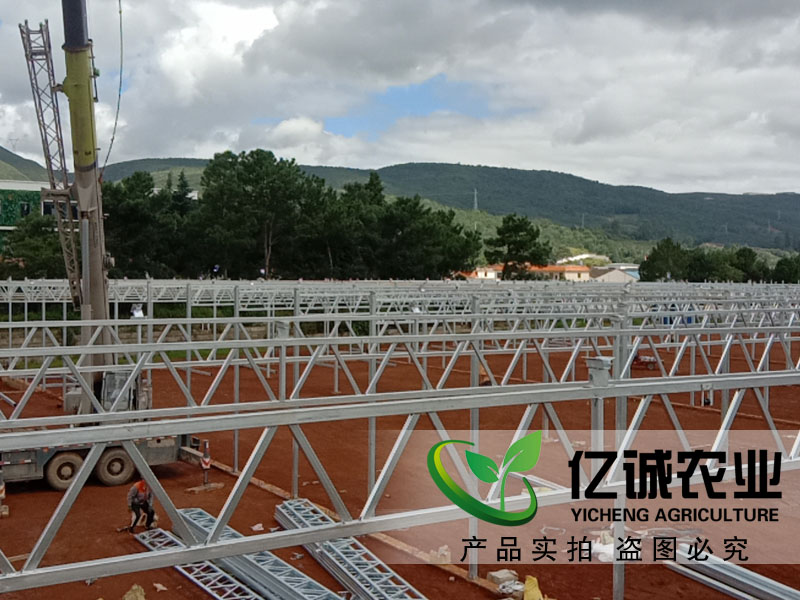 青州玻璃溫室大棚哪家建的比較專業(yè)？性價(jià)比高？