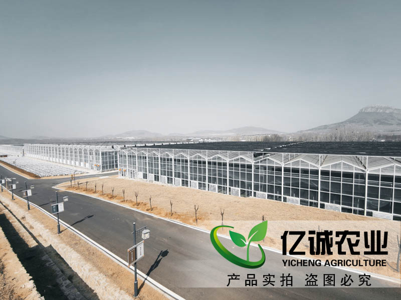 連棟溫室大棚水槽內(nèi)為什么會(huì)積水？?jī)|誠(chéng)教您這樣做