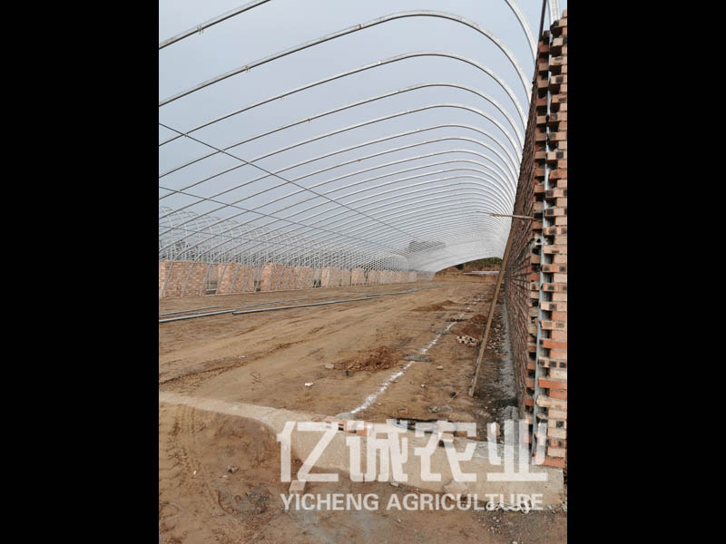 橢圓管溫室大棚 橢圓管溫室大棚