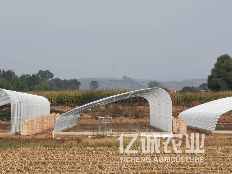 橢圓管溫室大棚 橢圓管溫室大棚